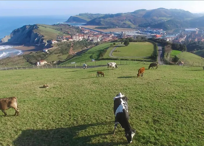 San Jose - Ongi Etorri